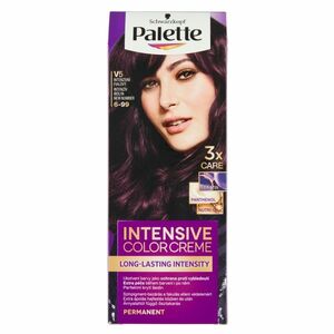 PALETTE ICC Barva na vlasy 6-99 Intenzivní fialový obraz