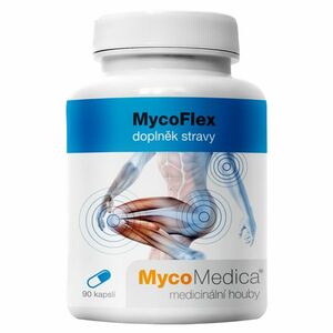 MYCOMEDICA MycoFlex 90 kapslí obraz