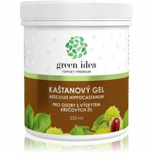 Green Idea Topvet Premium Kaštanový gel masážní gel na žíly a cévy 250 ml obraz
