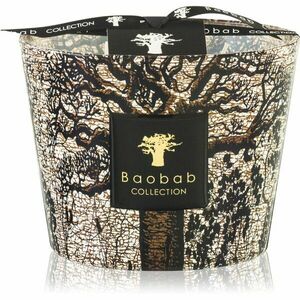 Baobab Collection Sacred Trees Morondo vonná svíčka 10 cm obraz