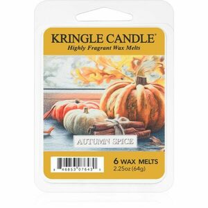 Kringle Candle Autumn Spice vosk do aromalampy 64 g obraz