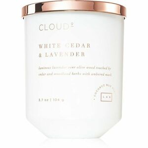 DW Home Cloud White Cedar & Lavender vonná svíčka 104 g obraz
