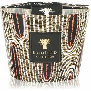 Baobab Collection Maxi Wax Panya vonná svíčka 10 cm obraz