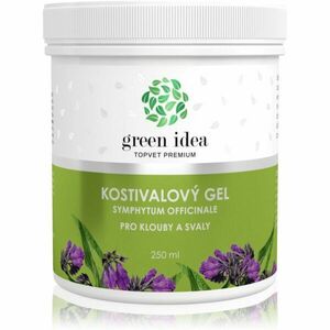 Green Idea Topvet Premium Kostivalový gel masážní gel na svaly a klouby 250 ml obraz