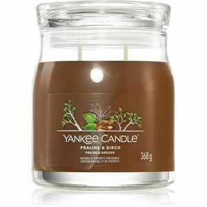 Yankee Candle Praline & Birch vonná svíčka 368 g obraz
