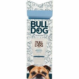 Bulldog Sensitive Cracker hydratační krém pro muže 100 ml obraz