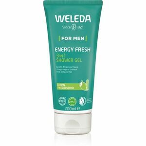 Weleda Energy Fresh 3in1 čisticí gel 3 v 1 na vlasy i tělo pro muže 200 ml obraz
