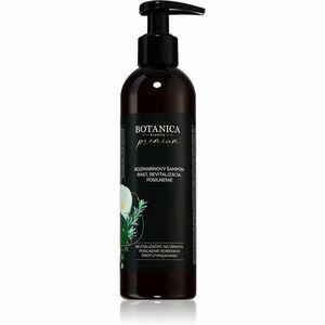 Soaphoria Botanica Slavica Rosemary intenzivní šampon pro růst vlasů a posílení od kořínků 250 ml obraz