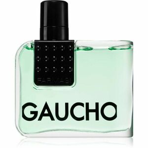 Farmasi Gaucho parfémovaná voda pro muže 100 ml obraz
