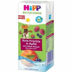 Hipp BIO jemné jablko a ovoce s neperlivou pramenitou vodou nápoj pro děti 200 ml obraz