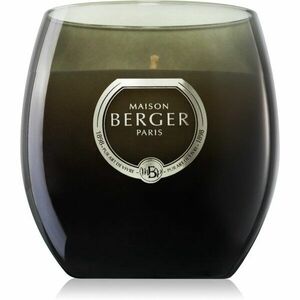 Maison Berger Paris Holly Amber Powder vonná svíčka 200 g obraz