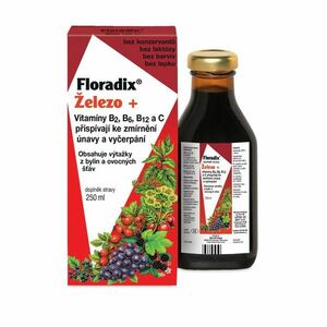 Salus Floradix Železo+ sirup 250 ml obraz