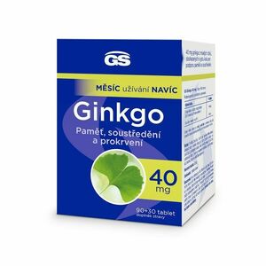 GS Ginkgo 40 mg 90+30 tablet obraz