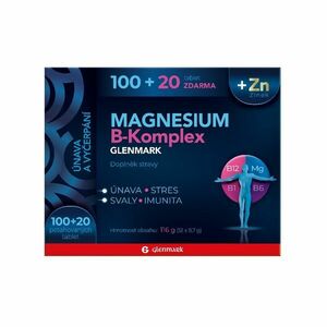 Glenmark Magnesium B-komplex 100+20 tablet obraz