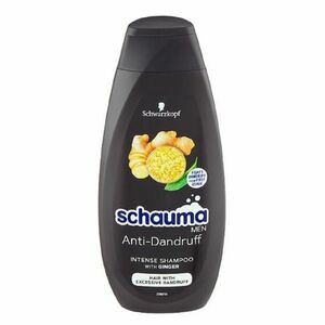 SCHAUMA Men Anti-Dandruff Intense šampon 250 ml obraz