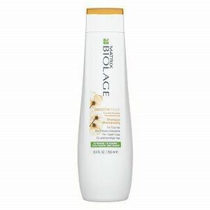Matrix Biolage Smoothproof Shampoo šampon pro nepoddajné vlasy 250 ml obraz