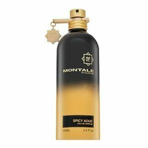 Montale Spicy Aoud parfémovaná voda unisex 100 ml obraz