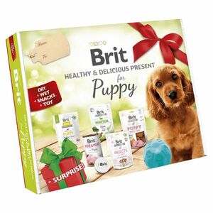 BRIT Care Box Dog Puppy Healthy&Delicious dárkový box pro štěňata 2023 obraz