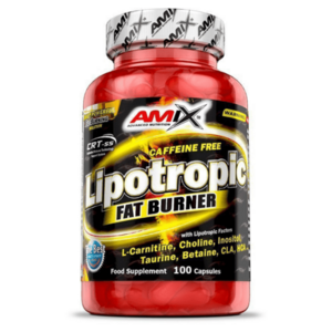 AMIX Lipotropic fat burner 100 kapslí obraz