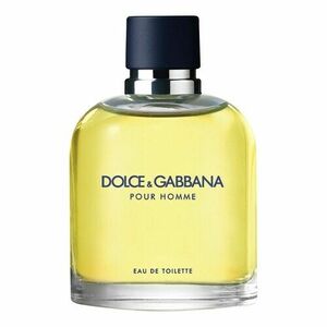DOLCE & GABBANA - Pour Homme - Toaletní voda obraz