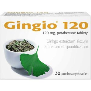 Gingio 120 mg, 30 tablet obraz