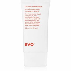 EVO Repair Mane Attention hloubkově hydratační maska pro poškozené a barvené vlasy 150 ml obraz