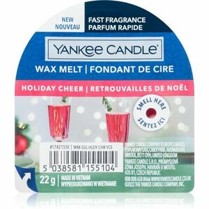 Yankee Candle Holiday Cheer vosk do aromalampy 22 g obraz