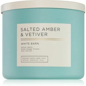 Bath & Body Works Salted Amber & Vetiver vonná svíčka 411 g obraz