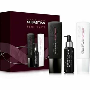 Sebastian Professional Penetraitt dárková sada (pro poškozené, chemicky ošetřené vlasy) obraz