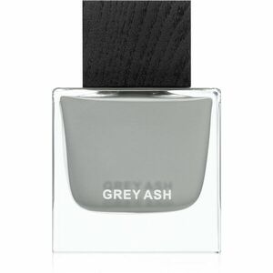 Aurora Grey Ash parfémovaná voda pro muže 100 ml obraz