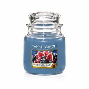 Yankee Candle Aromatická svíčka Classic malý Mulberry & Fig Delight 104 g obraz