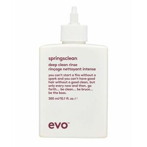 evo Hloubkově čisticí šampon pro kudrnaté a vlnité vlasy Springsclean (Deep Clean Rinse) 300 ml obraz