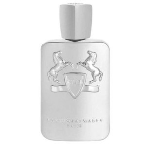 Parfums De Marly Galloway - EDP 125 ml obraz