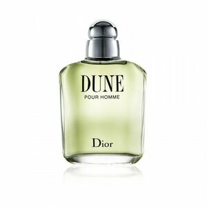Dior Dune Pour Homme - EDT 100 ml obraz