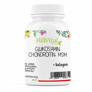 HillVital | Glukosamin, MSM, Chondroitin - na klouby, revma, artróza 60 ks obraz