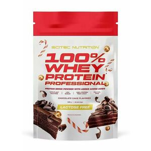 100% Whey Protein Professional Lactose Free - Scitec Nutrition 500 g Chocolate Cake obraz