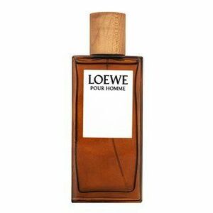 Loewe Pour Homme toaletní voda pro muže 100 ml obraz