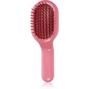 Janeke Curvy Bag Pneumatic Hairbrush Small plochý kartáč pro všechny typy vlasů 1 ks obraz