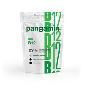 Pangamin B12 200 tablet obraz
