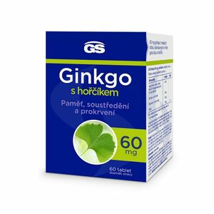 GS Ginkgo 60 mg s hořčíkem 60 tablet obraz