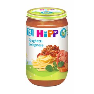 Hipp BIO Boloňské špagety 250 g obraz