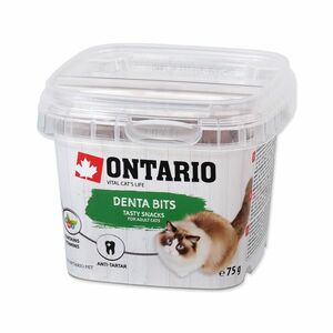 Ontario Dentální polštáky 75 g obraz