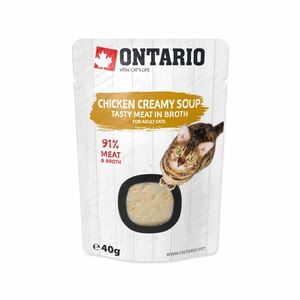Ontario Kuřecí polévka se sýrem kapsička 40 g obraz