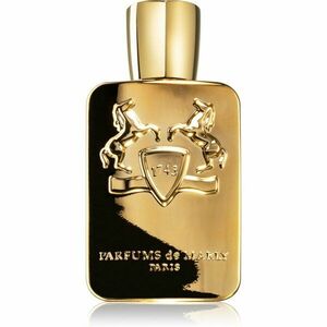 Parfums De Marly Godolphin parfémovaná voda pro muže 125 ml obraz