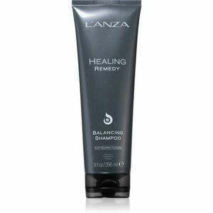 L'anza Healing Remedy Scalp Balancing hloubkově čisticí šampon pro mastnou pokožku hlavy 266 ml obraz