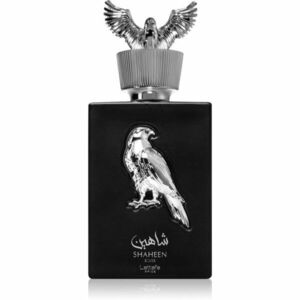 Lattafa Pride Shaheen Silver parfémovaná voda pro muže 100 ml obraz