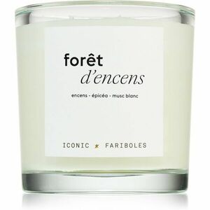 FARIBOLES Iconic Forest Incense vonná svíčka 400 g obraz