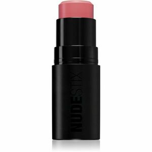 Nudestix Nudies Matte + Glow Core multifunkční líčidlo pro oči, rty a tvář odstín Pink Ice 6 g obraz