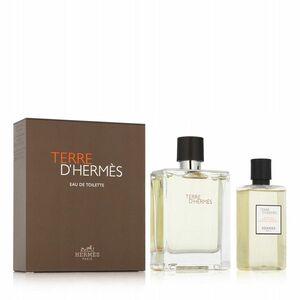 Hermes Terre D´ Hermes - EDT 100 ml + sprchový gel 80 ml obraz