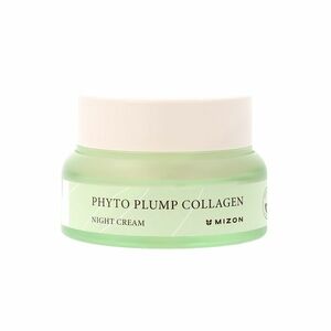 Mizon Noční pleťový krém Phyto Plump Collagen (Night Cream) 50 ml obraz